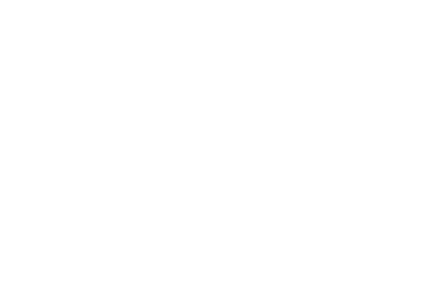 PicklOne